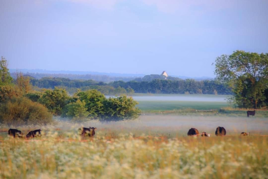 Villa Wunder Spottrup Zewnętrze zdjęcie